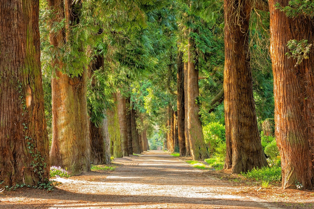 avenue-g287890d0b_1280